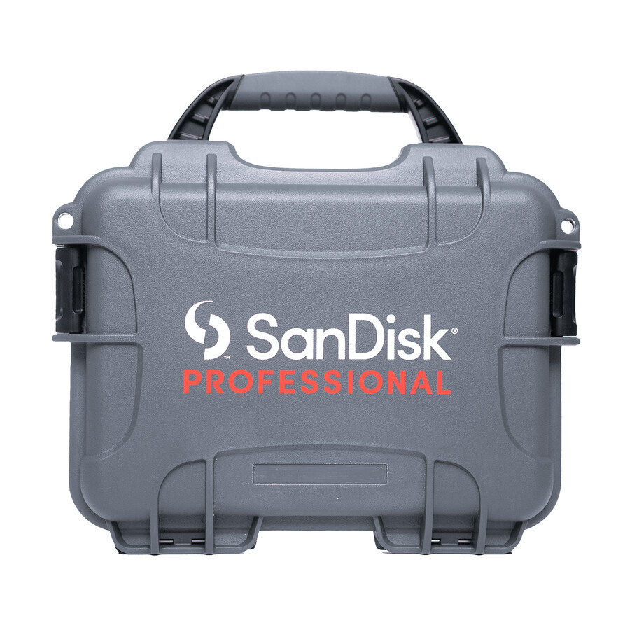 pro-blade hårt fodral sandisk