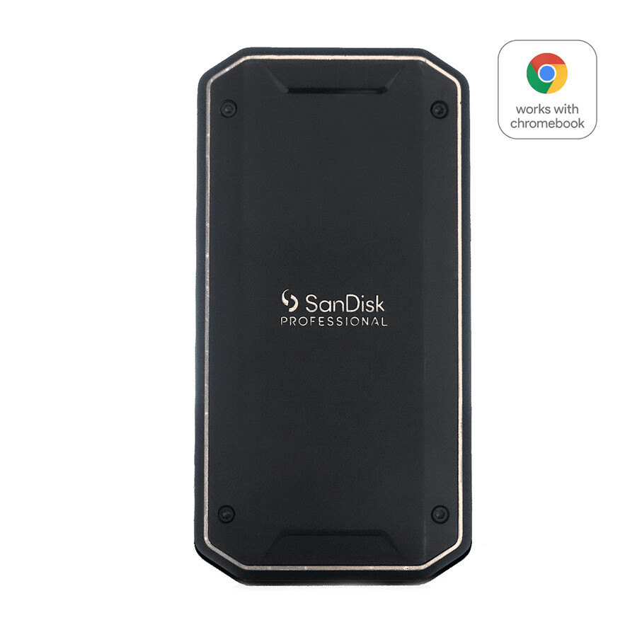 2 tb sandisk professional pro-g40 ssd apfs sandisk